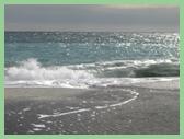 image508[1]